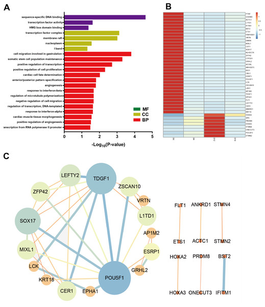 Bioinformatic analysis of DEmRNAs the biological function.