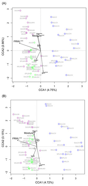 Canonical correspondence analysis profiles showing the influence of various environmental factors on rhizospheric microbiota (A) and dominant microbiota (B).