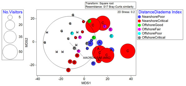 Metric Dimensional Scaling (MDS) plot of transects grouped into localities and plotted with bubbles according to the quantity of observed recreationists.