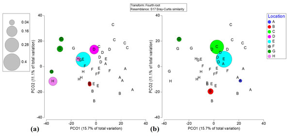 Bubble plots based on PCO analysis describing the spatial patterns of critically endangered coral species among locations.