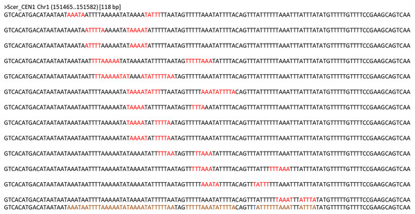 Dyads identified in the S. cerevisiae centromere CEN1.