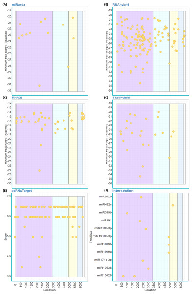 Predicted target sites of tomato’s miRNAs on the genome of ToBRFV using miRanda (A), RNAhybrid (B), RNA22 (C), Tapirhybrid (D), psRNATarget (E) and (F) shows the common loci predicted by at least three miRNA target prediction algorithms.