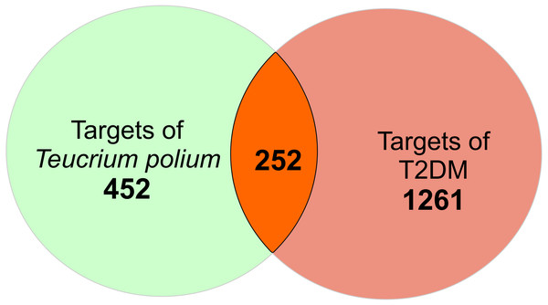 The scheme for intersection of T. polium and type 2 diabetes mellitus (T2DM) targets.