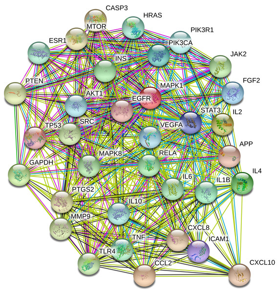 The PPI network of the 37 key targets obtained from STRING v11.