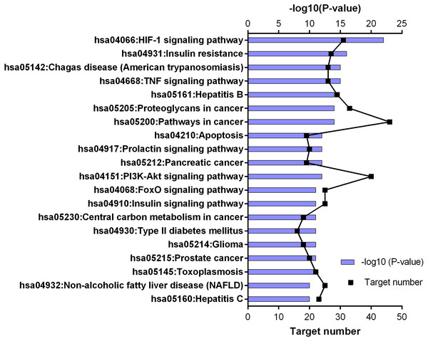 KEGG pathway enrichment results for 252 candidate target genes (top 20 results according to the p value).
