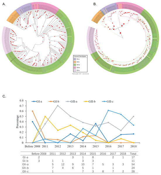 Genotyping of the 208 Asian PEDV strains and the non-Asian reference strains based on full-length genomic sequences.