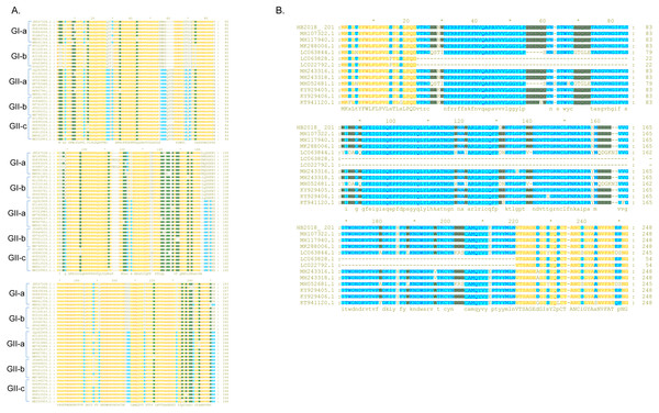 Sequence alignment of the S-NTD regions of PEDV strains.