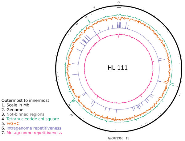 Analysis of HL-111 genome.
