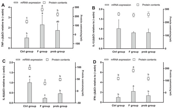 mRNA and protein expression levels of inflammatory cytokines in the hippocampus.
