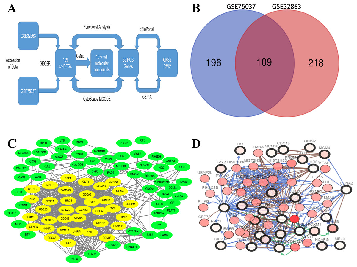 CKS2 And RMI2 Are Two Prognostic Biomarkers Of Lung Adenocarcinoma [PeerJ]