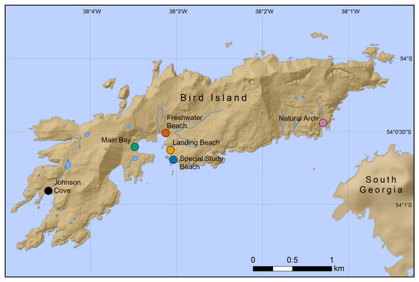 Locations of six Antarctic fur seal breeding colonies on Bird Island, South Georgia, where chemical samples were taken.