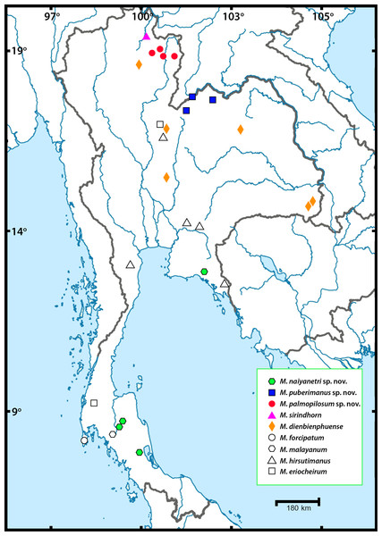 Sampling localities of Macrobrachium pilimanus group in this study.