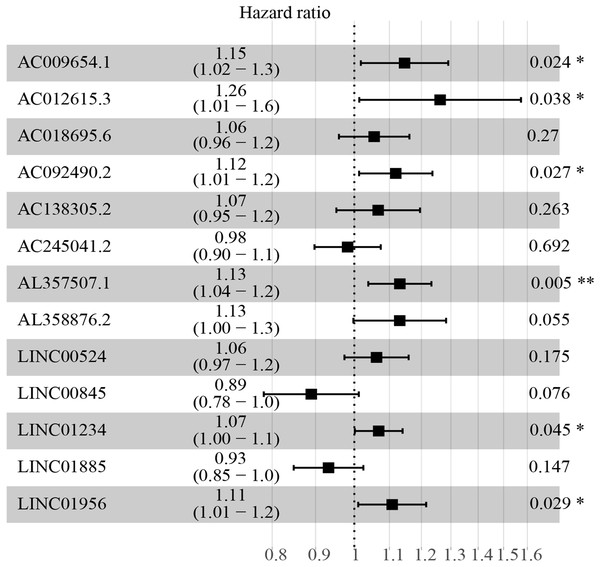 HR and 95% CI of the 13 key prognostic lncRNAs by multivariate cox regression.