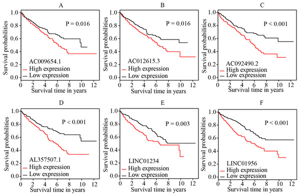 K-M survival curves of the six independent prognostic lncRNAs identified by multivariate cox regression.