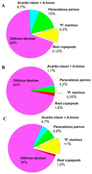Copepods species percentage in central part of Sevastopol Bay (St. 3) during P. marinus abundance peaks in 2016–2018.