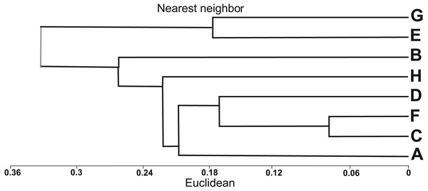 Dendrogram of similarities of populations of Impatiens capensis Meerb. in Poland, obtained by the nearest neighbor method.
