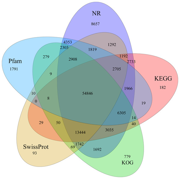 Venn diagram of annotated unigenes from different databases.