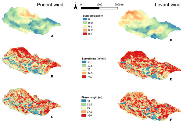 Fire simulations obtained from Flammap for Ponent wind (West) and Levant wind (East) conditions.
