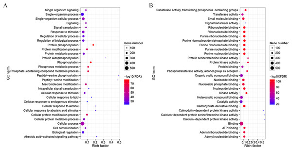 Gene Ontology (GO) enrichment analysis for the co-functional genes of CdMAPKKKs.