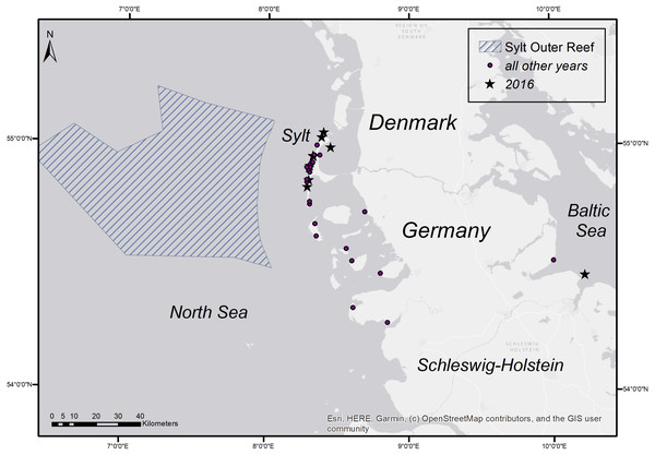 Stranding locations of harbour porpoises with fatal pharyngeal entrapment of fish derived from the coasts of Schleswig-Holstein from 1990 to 2019.