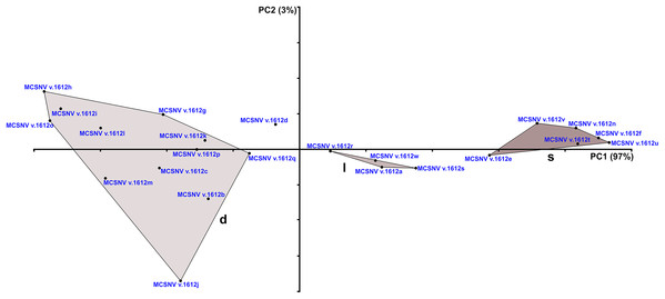 PCA plot of the data set from the specimen MCSNV v. 1612 (see Table 1; Table S2).