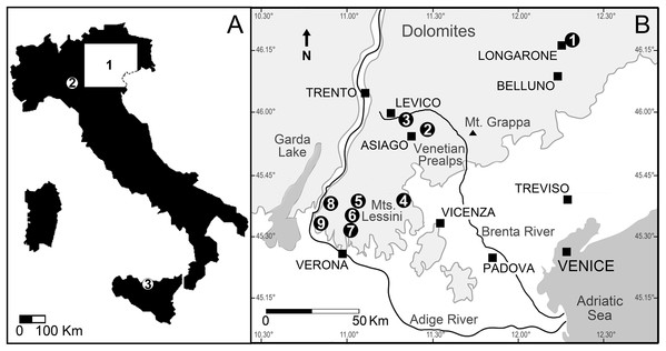 Location of the Italian sites that yielded remains of the Cretaceous shark Ptychodus latissimus.
