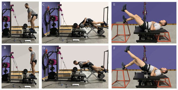 Inertial hamstring exercises: (A and B) bilateral stiff-leg deadlift, (C and D) 45° hip extension, (E and F) unilateral straight knee bridge.