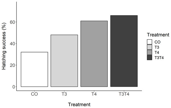 Percentage of hatching success according to yolk TH manipulation treatments.