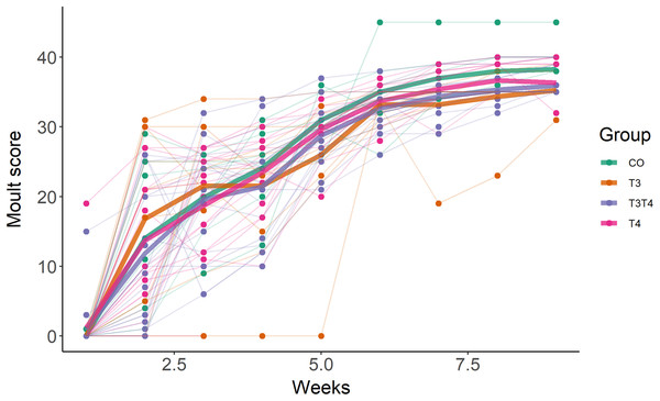 Primary moult score in 7-month old Japanese quails according to yolk TH manipulation treatments.