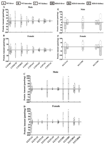 Protein content of DMEs in different tissues from the KRAS and WT mice with different sexes at 10 weeks, n = 5.