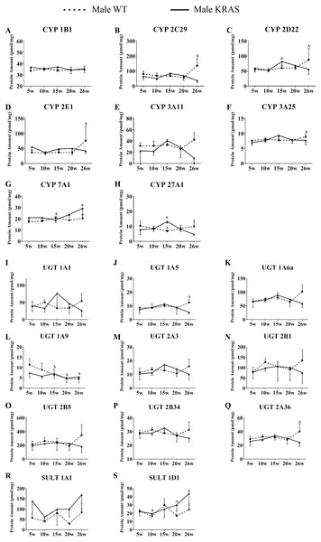 Alterations in protein levels of eight CYPs, nine UGTs and two SULTs at different ages in the liver of male KRAS and WT mice, n = 5.