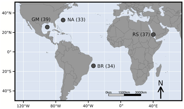 Sample locations of Carcharhinus falciformis followed by sample size.