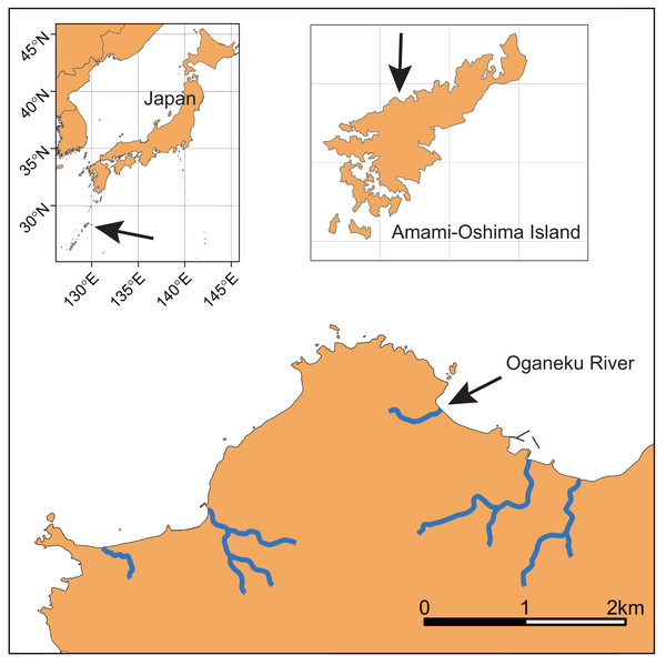 Locations of Amami-Oshima Island, Japan and the Oganeku River.