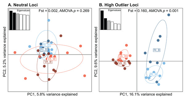 Principal Component Analysis (PCA) of neutral (A, n = 279) and high outlier (B, n = 66) Astrangia poculata SNPs of the four populations.