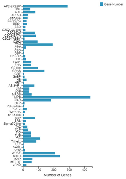 Classification of the family of transcription factors.