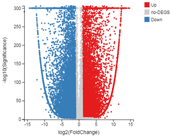 Scatter plot of log diploid and triploid expression data.