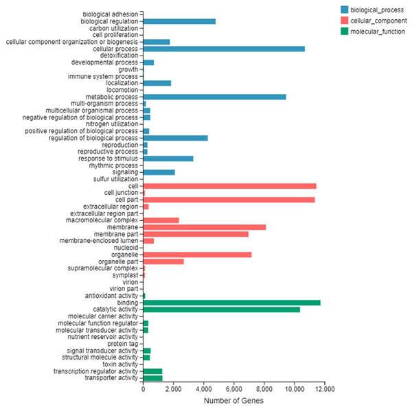 GO secondary node annotation statistics of differential expression genes.