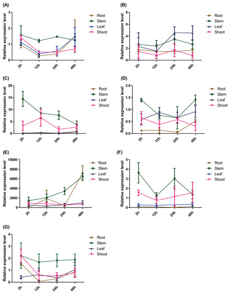 Spatio-temporal expression analysis of seven ERF genes under salt stress conditions based on RTq-PCR of Populus, respectively.