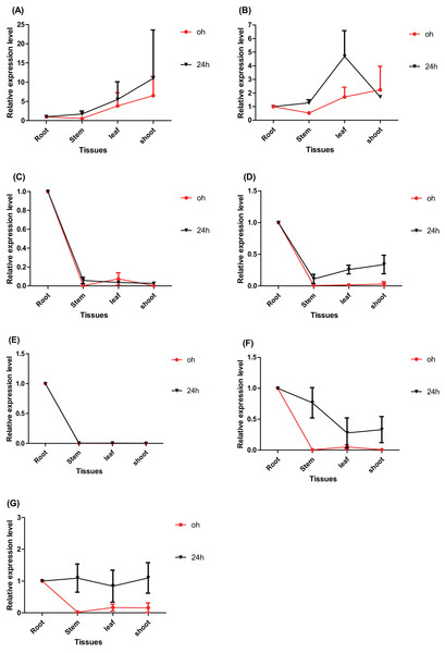 Tissue-specific expression analysis of seven ERF genes based on RT-qPCR of Populus.