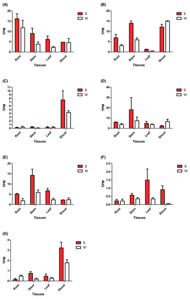 Expression analysis of seven ERFs under salt stress using RNA-Seq data.