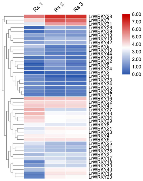Heatmap representation of the LrWRKY genes during fruit developmental stages of L. ruthenicum.