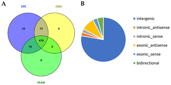 Identification of long noncoding RNAs (lncRNAs) in skin tissues of TibetanCashmere goats.