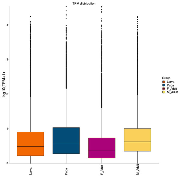 Boxplot of the log transformed TPM expression values of different developmental stages.