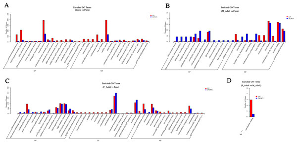 GO enrichment analysis of DEGs that compared among the different developmental groups.