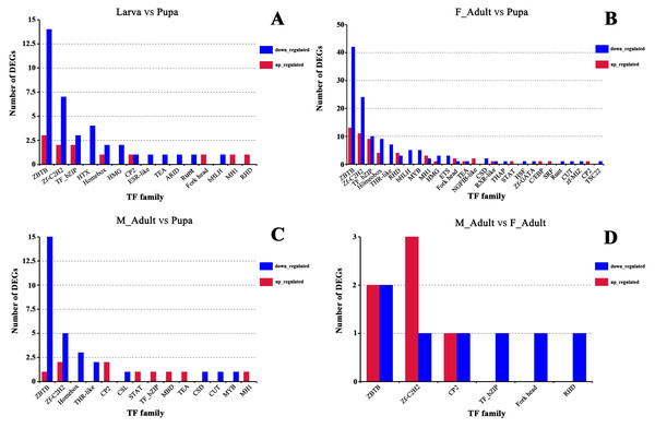 Number of genes up-regulated and down-regulated in the TF family in different comparison groups.