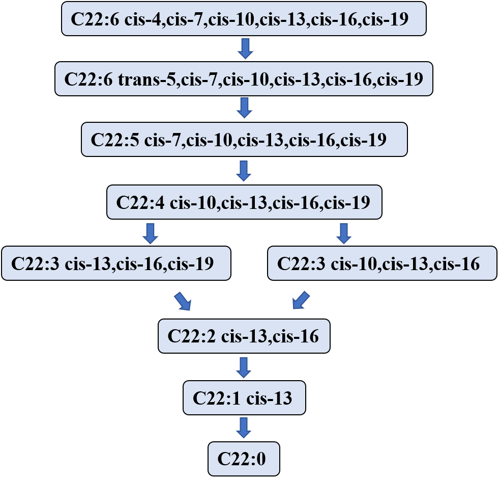 Dha Content In Milk And Biohydrogenation Pathway In Rumen A Review Peerj