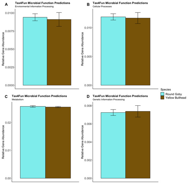 Relative Gene Abundance of predicted microbial community functions from the species comparison, calculated using Tax4Fun and the Top 20 level one pathway KEGG Orthologs.