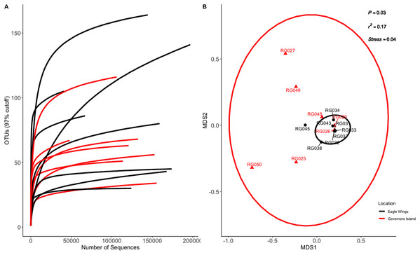 Rarefaction Curve (A) and NMDS plot (B) for Round Goby (RG) habitat comparison between Governors Island and the Eagle Wings Islands.