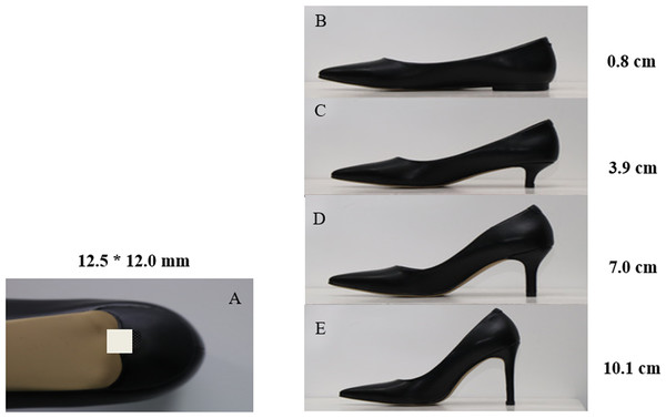 (A) Size of the heel base and (B–E) experimental shoes with different HH.