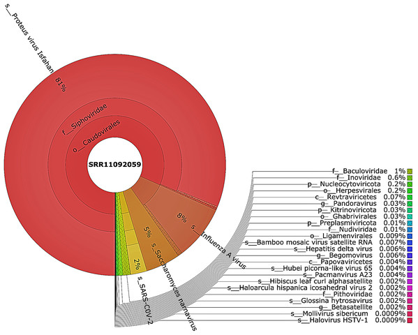 The Krona pie chart of the viral taxonomy of the WIV07 patient.